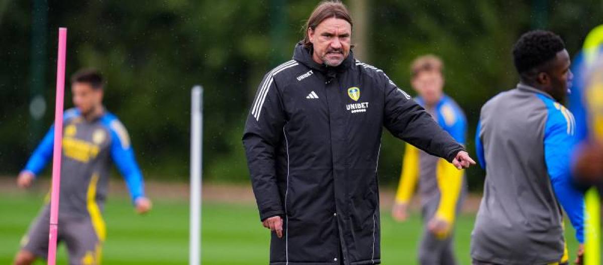 Falk says Leeds United are not afraid of strong opponents and still have a chance against Brighton away from home.