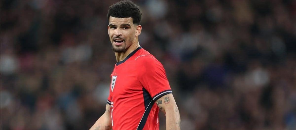 喜欢看动漫　索兰克称从励志的剧情受到许多启发