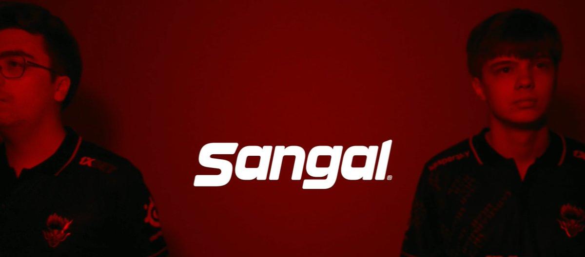 Sangal官方：已与21岁步枪手h0kx分道扬镳