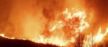 As wildfires rage in Los Angeles, Riot Games closes offices and pledges support to affected communities