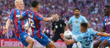 FA Cup - 1-0 win over Manchester City and Crystal Palace