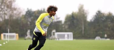 Pedro Lima shares his journey of growth and adaptation at Wolves